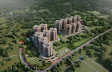 Prestige Evergreen