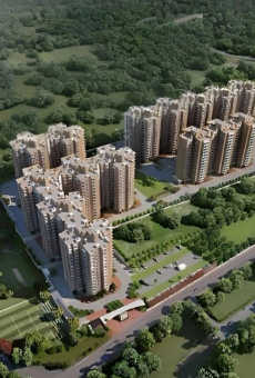 Prestige Evergreen