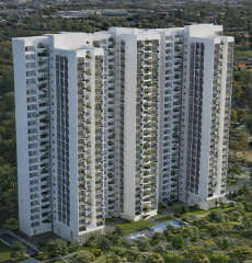 sobha-forest edge