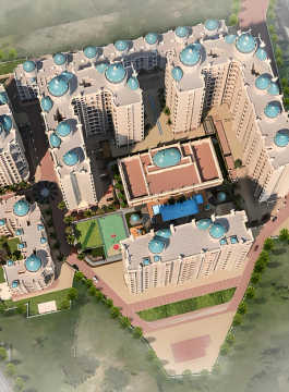 tharwani-meghna montana