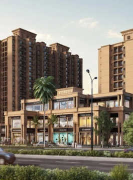 signature-global signum 89