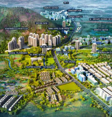 wadhwa-wise city