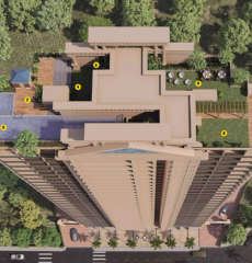 paradise-sai platinum