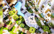 Embassy Grove
