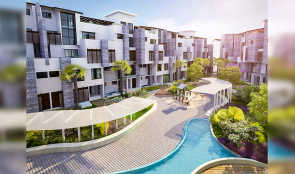 Embassy Grove