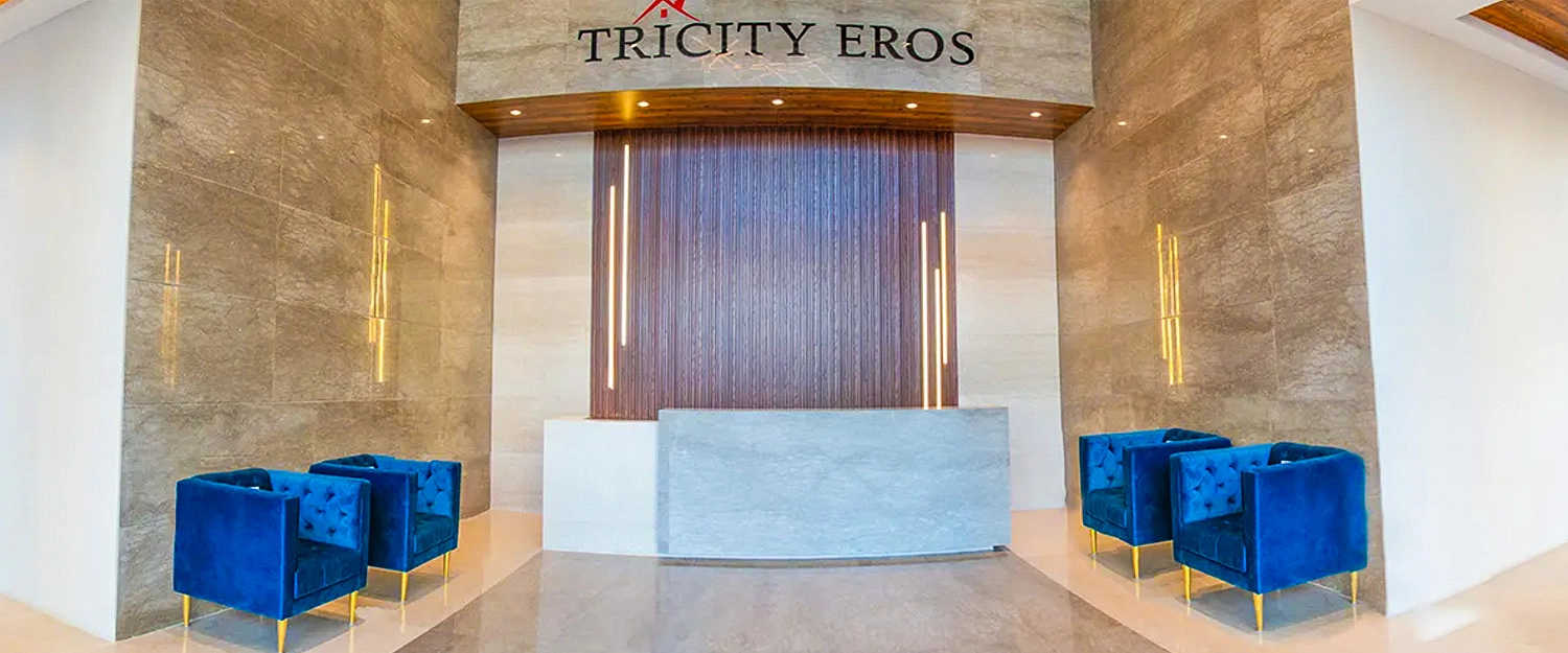 Tricity Eros Kharghar - Tower Entrance Lobby