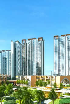 Prestige Evergreen