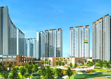Prestige Evergreen