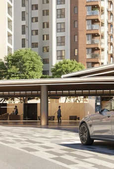 Prestige Evergreen