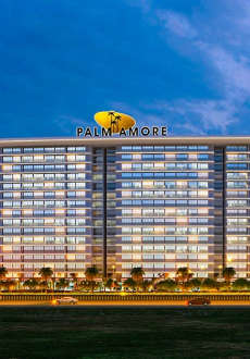 gami-palm amore