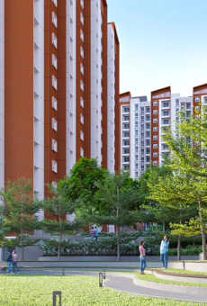 Provident Botanico