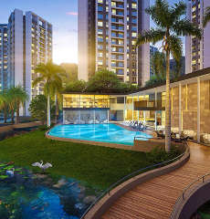 sunteck-forest world