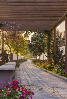 Sobha Galera