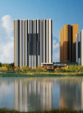 assetz-canvas & cove