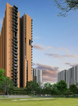 assetz-canvas & cove