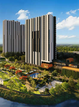 assetz-canvas & cove