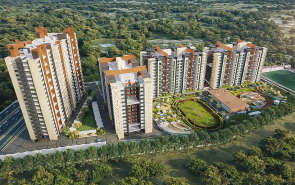 Pride Platinum Plus Baner