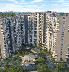 purva-park hill