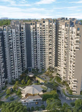 purva-park hill