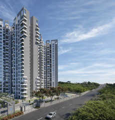 purva-park hill