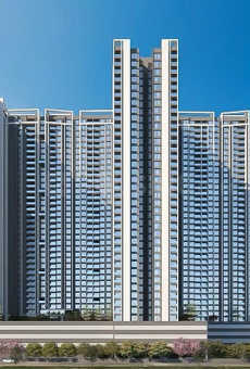Saniket WYCE Exclucity