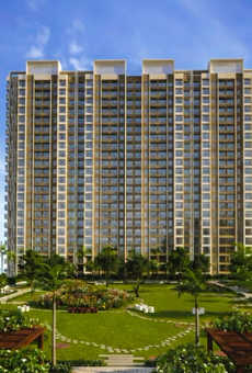 Regency Avana