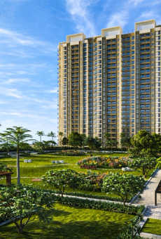 Regency Avana