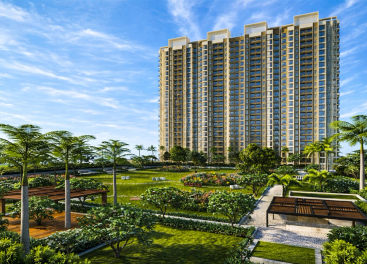 Regency Avana