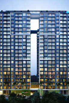 Adani The Views