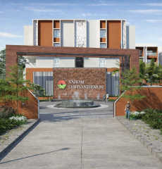 vajram-chrysanthemum