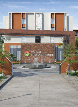 vajram-chrysanthemum