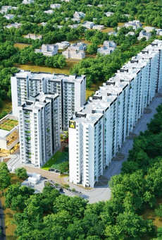 SNN Estates Felicity