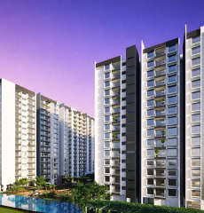 snn-estates felicity