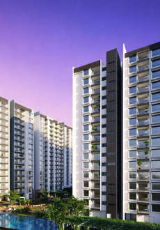 snn-estates felicity