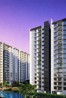 SNN Estates Felicity