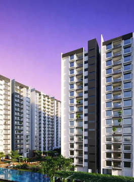 snn-estates felicity