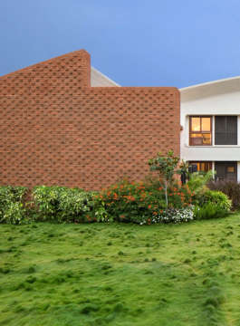 total-environment after the rain