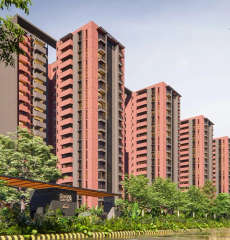 assetz-sora and saki