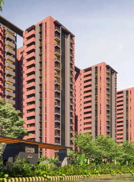 assetz-sora and saki