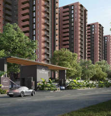 assetz-sora and saki