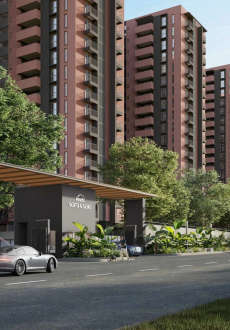 assetz-sora and saki