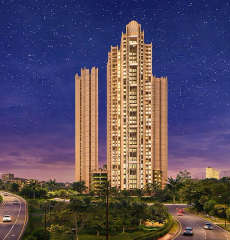 sai-proviso gemstone