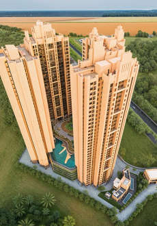 sai-proviso gemstone