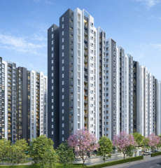 provident-ecopolitan