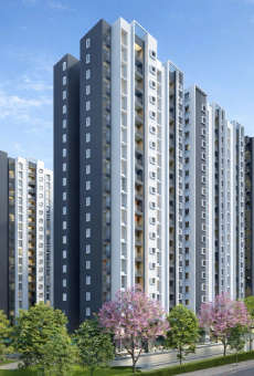 Provident Ecopolitan