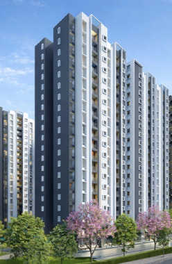 Provident Ecopolitan