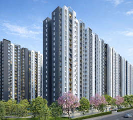 provident-ecopolitan