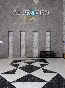 sai-proviso icon