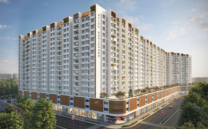 Olive Boulevard Panvel