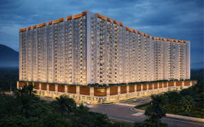 Olive Boulevard Panvel